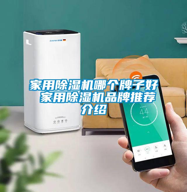 家用除濕機哪個牌子好 家用除濕機品牌推薦介紹