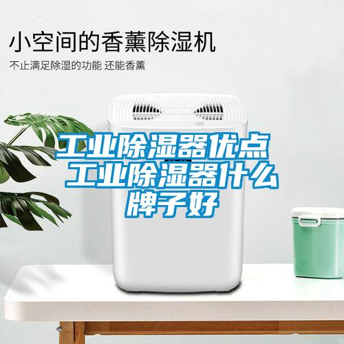 工業(yè)除濕器優(yōu)點(diǎn) 工業(yè)除濕器什么牌子好