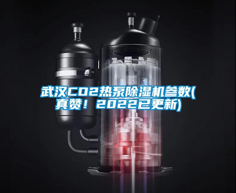 武漢CO2熱泵除濕機參數(shù)(真贊！2022已更新)