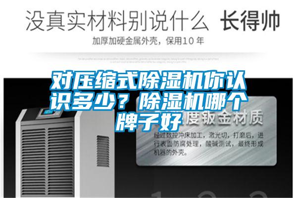 對壓縮式除濕機你認識多少？除濕機哪個牌子好