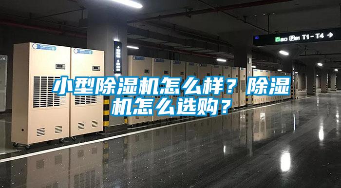 小型除濕機怎么樣？除濕機怎么選購？