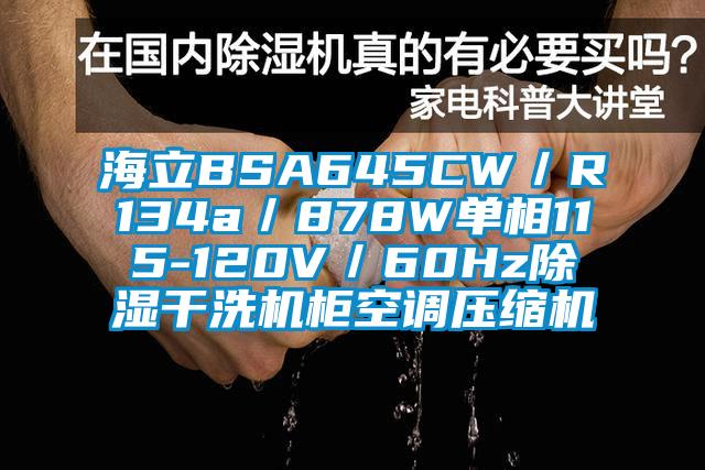 海立BSA645CW／R134a／878W單相115-120V／60Hz除濕干洗機柜空調(diào)壓縮機