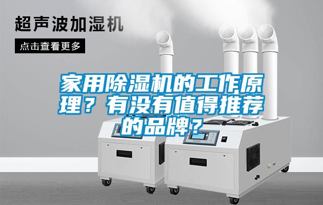 家用除濕機的工作原理？有沒有值得推薦的品牌？