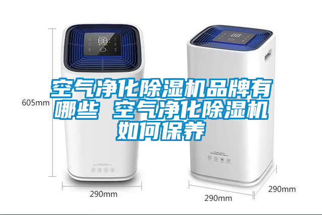 空氣凈化除濕機品牌有哪些 空氣凈化除濕機如何保養(yǎng)