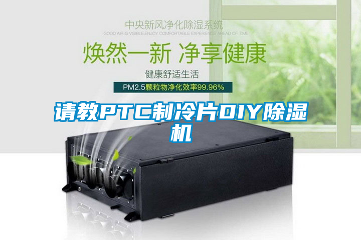 請教PTC制冷片DIY除濕機