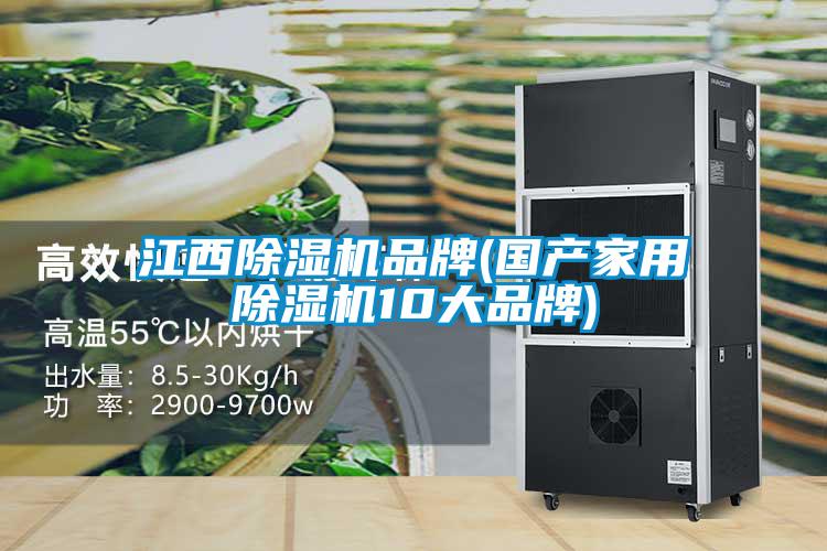 江西除濕機(jī)品牌(國(guó)產(chǎn)家用除濕機(jī)10大品牌)