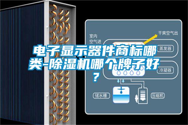 電子顯示器件商標(biāo)哪類-除濕機哪個牌子好？