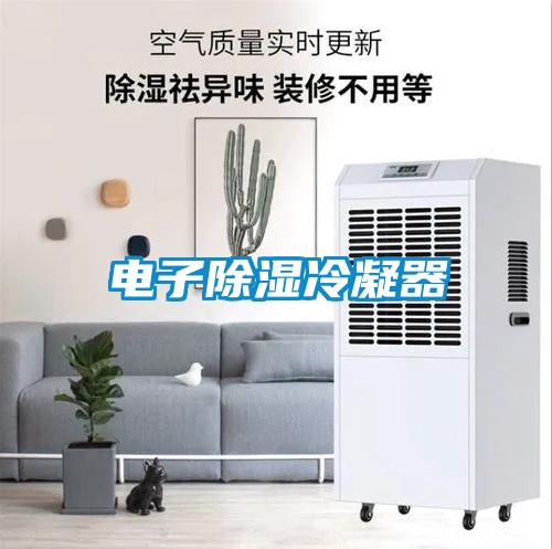 電子除濕冷凝器