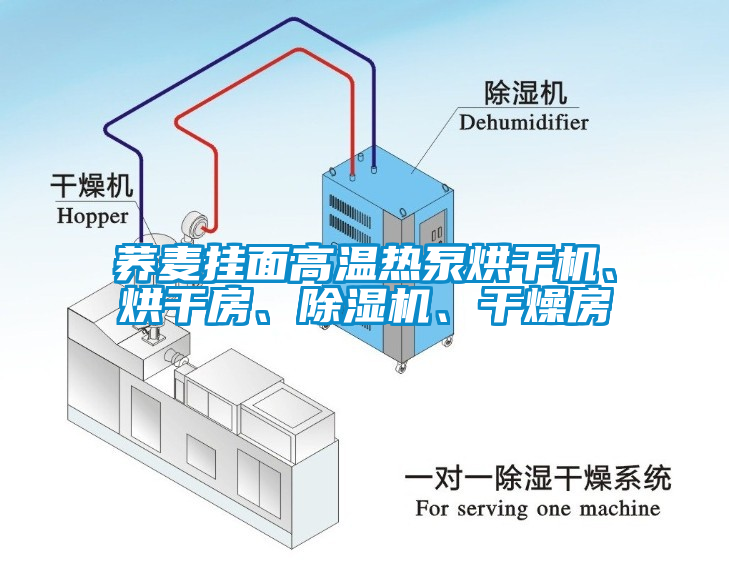 蕎麥掛面高溫?zé)岜煤娓蓹C、烘干房、除濕機、干燥房