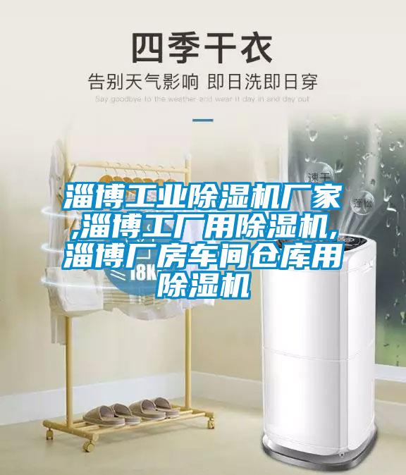 淄博工業(yè)除濕機(jī)廠家,淄博工廠用除濕機(jī),淄博廠房車間倉(cāng)庫(kù)用除濕機(jī)