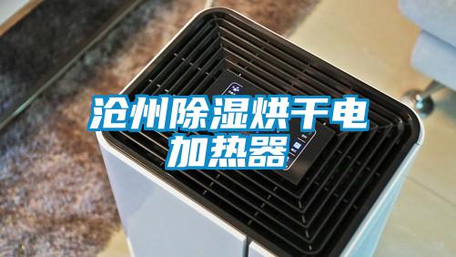 滄州除濕烘干電加熱器