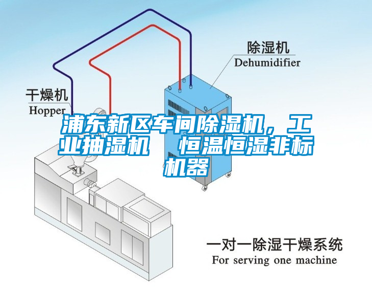 浦東新區(qū)車間除濕機(jī)，工業(yè)抽濕機(jī)  恒溫恒濕非標(biāo)機(jī)器