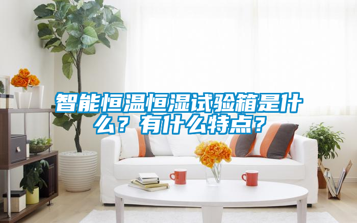 智能恒溫恒濕試驗(yàn)箱是什么？有什么特點(diǎn)？