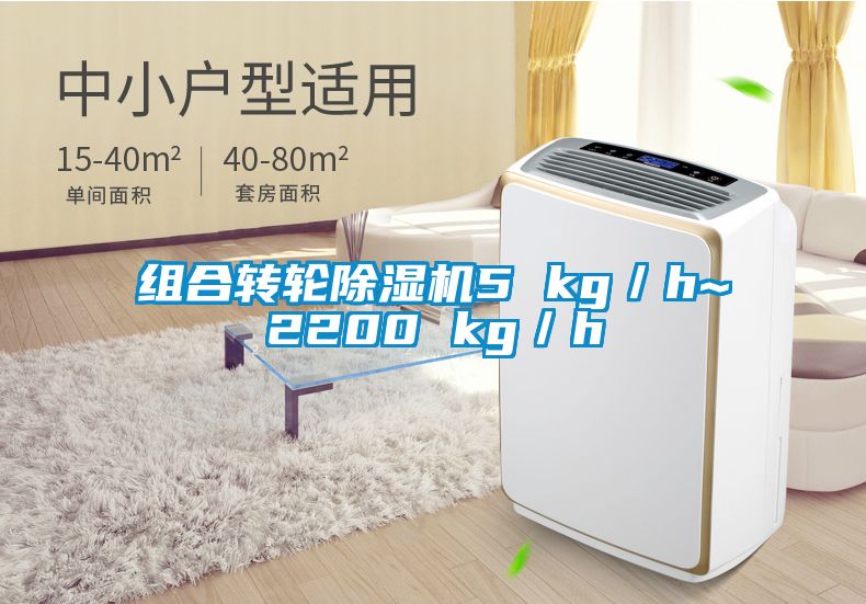 組合轉(zhuǎn)輪除濕機5 kg／h~2200 kg／h