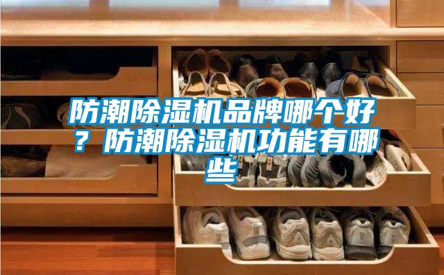 防潮除濕機品牌哪個好？防潮除濕機功能有哪些