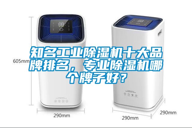 知名工業(yè)除濕機十大品牌排名，專業(yè)除濕機哪個牌子好？