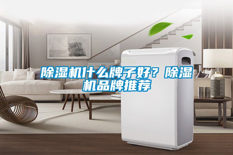 除濕機什么牌子好？除濕機品牌推薦