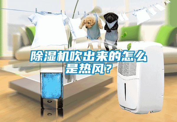 除濕機吹出來的怎么是熱風(fēng)？