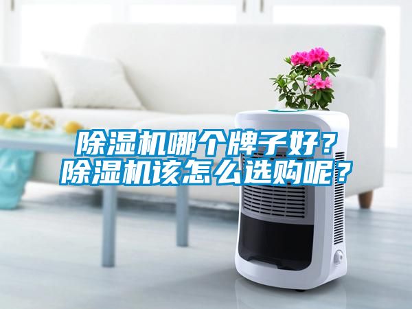 除濕機哪個牌子好？除濕機該怎么選購呢？