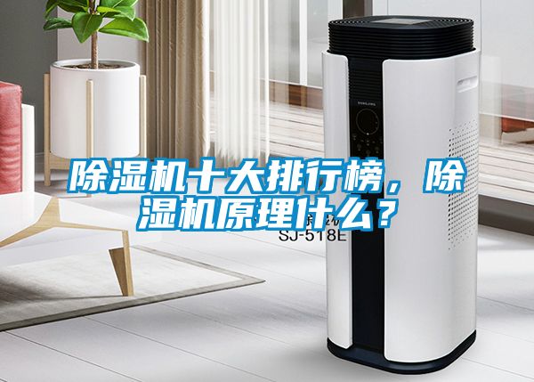 除濕機十大排行榜，除濕機原理什么？