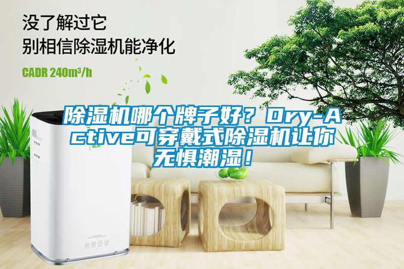 除濕機哪個牌子好？Dry-Active可穿戴式除濕機讓你無懼潮濕！