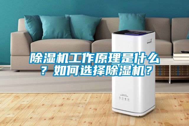 除濕機工作原理是什么？如何選擇除濕機？