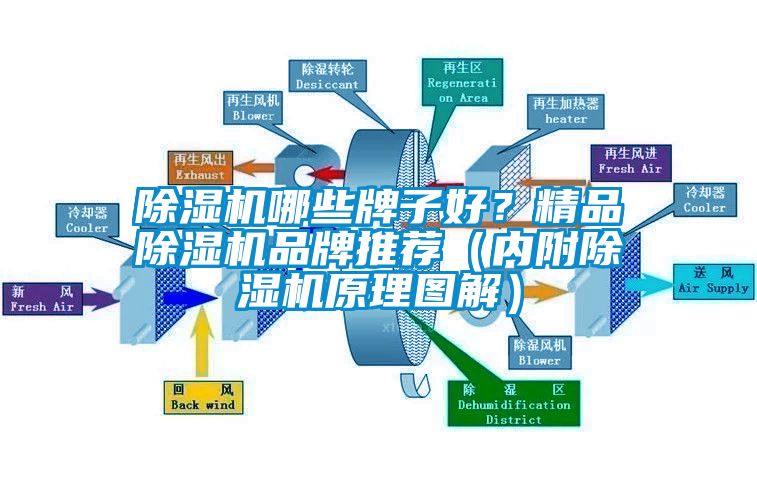 除濕機(jī)哪些牌子好？精品除濕機(jī)品牌推薦（內(nèi)附除濕機(jī)原理圖解）