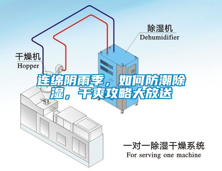 連綿陰雨季，如何防潮除濕，干爽攻略大放送