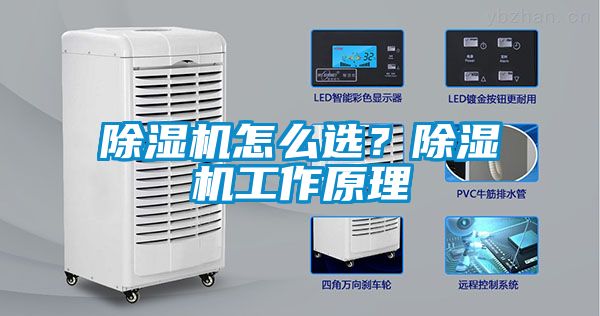 除濕機(jī)怎么選？除濕機(jī)工作原理