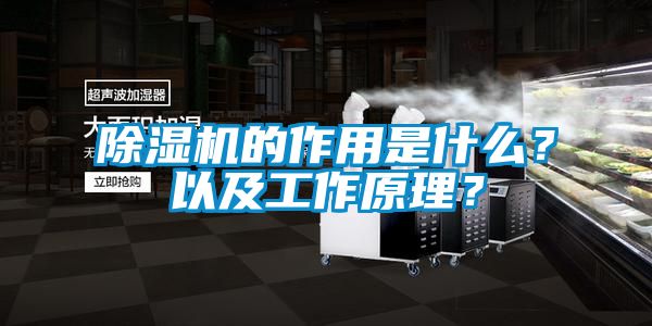 除濕機的作用是什么？以及工作原理？