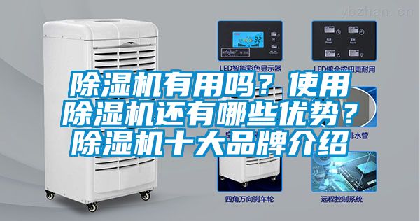 除濕機有用嗎？使用除濕機還有哪些優(yōu)勢？除濕機十大品牌介紹