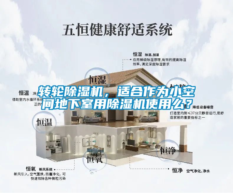 轉(zhuǎn)輪除濕機，適合作為小空間地下室用除濕機使用么？