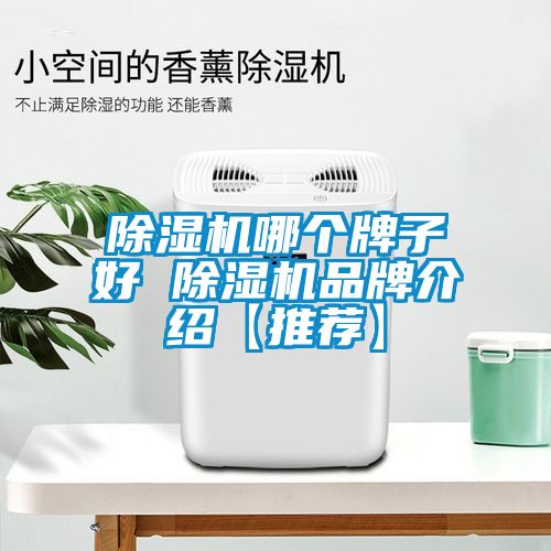 除濕機哪個牌子好 除濕機品牌介紹【推薦】