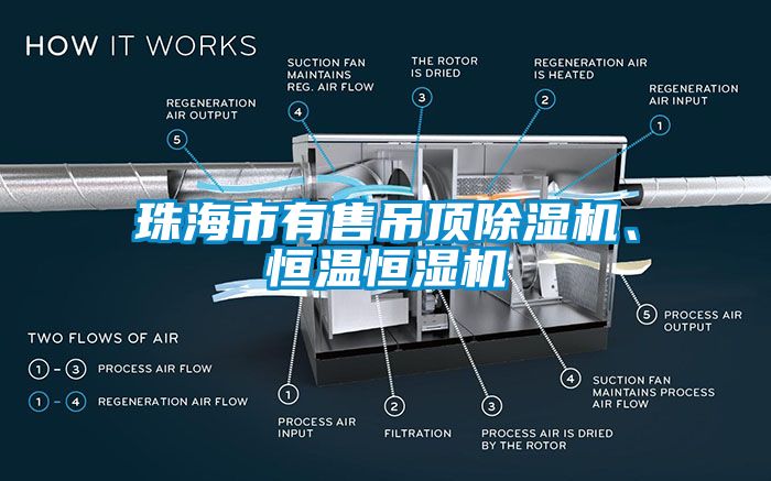 珠海市有售吊頂除濕機、恒溫恒濕機