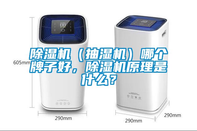 除濕機（抽濕機）哪個牌子好，除濕機原理是什么？