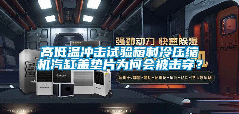 高低溫沖擊試驗箱制冷壓縮機汽缸蓋墊片為何會被擊穿？