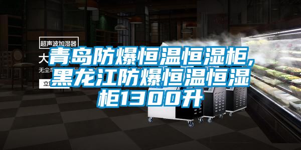 青島防爆恒溫恒濕柜,黑龍江防爆恒溫恒濕柜1300升