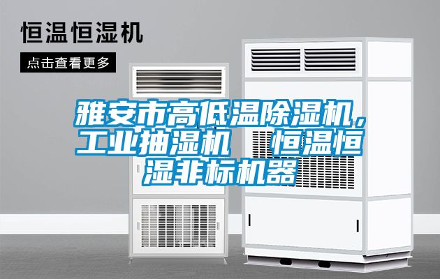 雅安市高低溫除濕機，工業(yè)抽濕機  恒溫恒濕非標機器